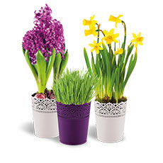 Betterware - registrace zdarma, nákupy se slevou, možnost přivýdělku - spolupráce | betterware-privydelek.cz